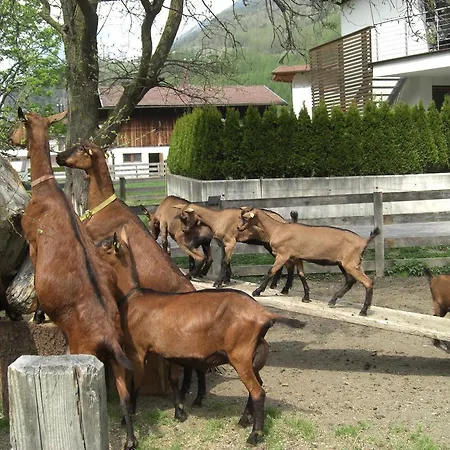 Çiftlik konaklama Bauernhof Kuen