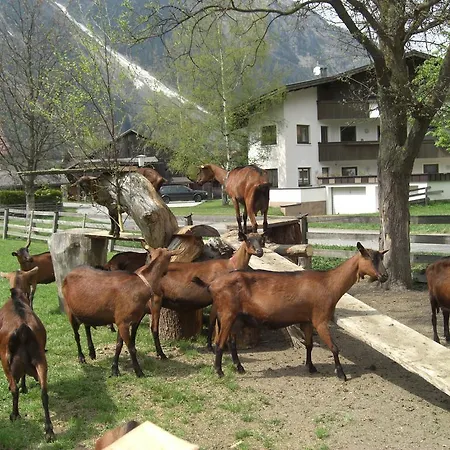 Çiftlik konaklama Bauernhof Kuen