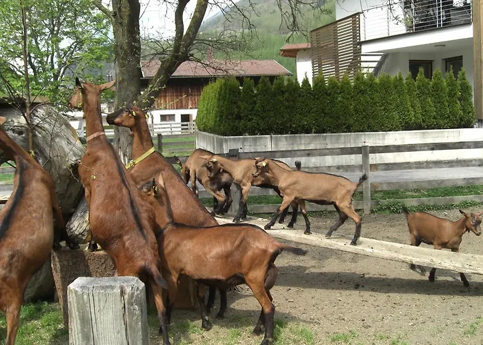Farmház Bauernhof Kuen