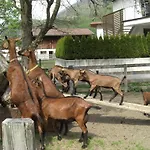 Séjour à la ferme Bauernhof Kuen